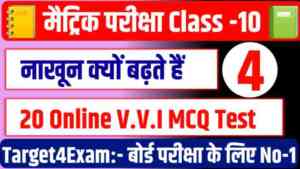 Bihar Board Class 10th Hindi ( नाखून क्यों बढ़ते हैं ) MCQ Test in Hindi 2024::दम है तो इस 20 प्रश्न में से 15 प्रश्न का जवाब देकर दिखाओ